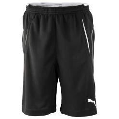 Puma Spirit II Training Short Kids - Grau