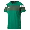 Puma Spirit II Training Jersey - Grün