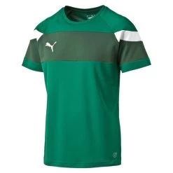 Puma Spirit II Training Jersey - Grün