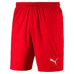 Puma LIGA Shorts Core KIDS - Rot
