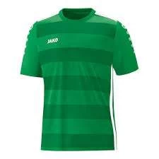 Jako Trikot Celtic 2.0 KA Kids - Grün
