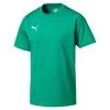 Puma Liga Casuals Tee Shirt - Grün -Bester Jersey Geschäft 655311 05 1280x1280