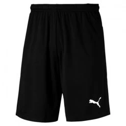Puma Liga Training Shorts - Schwarz-Copy
