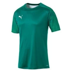 Puma CUP Training Jersey - Grün