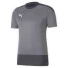 Puma TeamGoal 23 Training Jersey - Grau