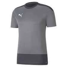 Puma TeamGoal 23 Training Jersey - Grau