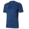Puma TeamCUP Training Jersey - Blau -Bester Jersey Geschäft 656735 02 1280x1280