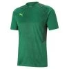 Puma TeamCUP Training Jersey - Grün -Bester Jersey Geschäft 656735 05 1280x1280