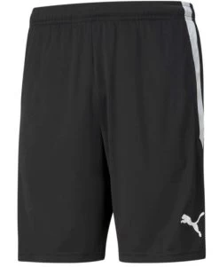 Puma TeamLIGA Training Short Schwarz