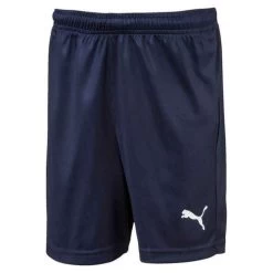 Puma LIGA Shorts Core KIDS - Dunkelblau