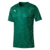 Puma CUP Jersey Core - Grün -Bester Jersey Geschäft 703775 05 1280x1280