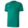 Puma TeamGOAL 23 Jersey - Grün -Bester Jersey Geschäft 704171 05 1280x1280