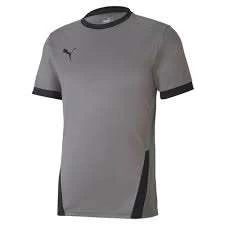 Puma TeamGOAL 23 Jersey - Grau
