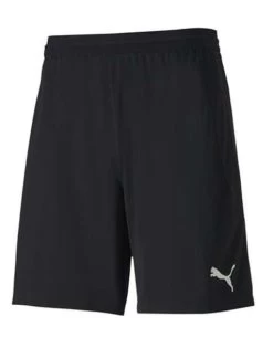 Puma TeamFINAL 21 Knit Shorts Schwarz