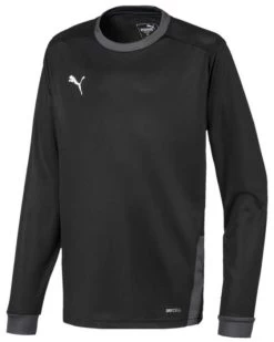 Puma TeamGOAL 23 Jersey LS Kids Schwarz