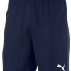 Puma TeamGOAL 23knit Shorts - Peacock