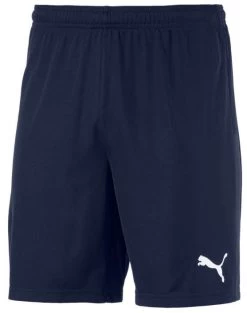 Puma TeamGOAL 23knit Shorts - Peacock