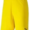 Puma TeamGOAL 23 Knit Shorts Cyber Yellow -Bester Jersey Geschäft 704262 07 1280x1280