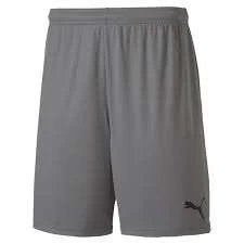 Puma TeamGOAL 23 Knit Shorts KIDS - Grau