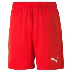 Puma TeamGOAL 23 Knit Shorts KIDS - Rot