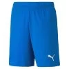 Puma TeamGOAL 23 Knit Shorts KIDS - Blau-Copy -Bester Jersey Geschäft 704263 02 1280x1280