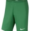 Nike DRI-Fit Park III Short - Pine Green -Bester Jersey Geschäft BV6855 302 1280x1280