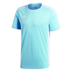 Adidas Entrada 18 Trikot - Hellblau