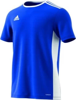 Adidas Entrada 18 Trikot - Blau