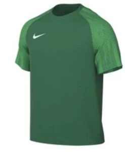 Nike DRI-Fit Academy Jersey - Pine Green