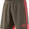 Adidas Tastigo 19 Short - Braun/orange -Bester Jersey Geschäft DP3254 StandardView 1280x1280