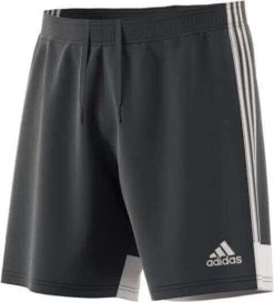 Adidas Tastigo 19 Short - Grau