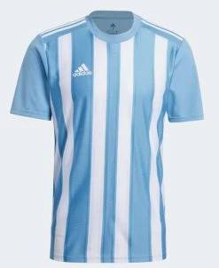 Adidas Striped 21 Jersey - Tmlgbl/white