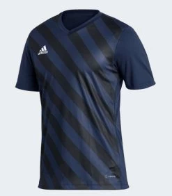 Adidas Entrada22 GFX Jersey Tenabl/black
