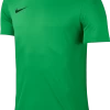 Nike Park VI Trikot - Grün -Bester Jersey Geschäft NIKE 725891 303 PHSFH001 1280x1280 1