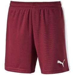 Puma Pitch Short Mit Innenslip Kinder - Dunkelrot