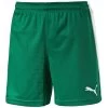 Puma Pitch Short Mit Innenslip - Grün -Bester Jersey Geschäft PUMA SHORT Pitch gr n 1280x1280 1