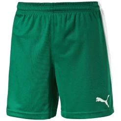 Puma Pitch Short Mit Innenslip - Grün