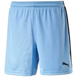Puma Pitch Short Mit Innenslip - Hellblau