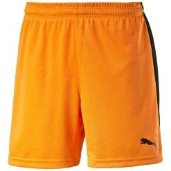 Puma Pitch Short Mit Innenslip Kinder - Orange