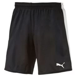Bester Jersey Geschäft 16 Puma Pitch Short Mit Innenslip Kinder - Schwarz