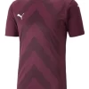 Puma TeamGLORY Jersey -Bester Jersey Geschäft Screenshot 2022 12 07 103307 1280x1280