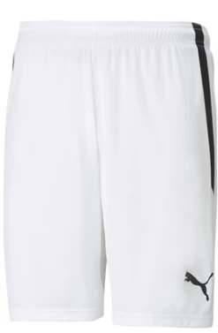 Puma TeamLIGA Shorts - Puma White-Puma Black