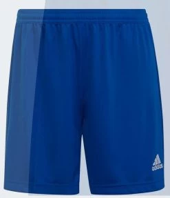 Adidas ENTRADA 22 SHORTS - Royalblue
