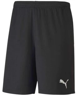 Puma TeamGOAL 23 Knit Shorts