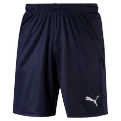 Puma Liga Shorts Core - Navy