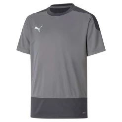Puma TeamGoal 23 Training Jersey Kids - Grau