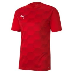 Puma TeamFINAL 21 Graphic Jersey - Rot