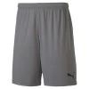 Puma TeamGOAL 23 Knit Shorts - Grau -Bester Jersey Geschäft puma pum 704262 13 imagefront 1280x1280