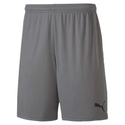Puma TeamGOAL 23 Knit Shorts - Grau